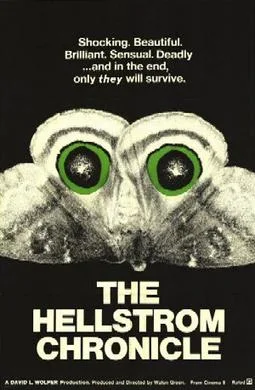 The Hellstrom Chronicle poster
