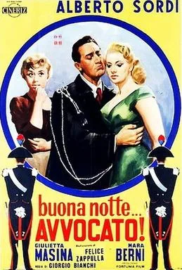Buonanotte... avvocato! poster