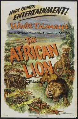 The African Lion poster