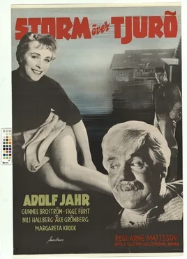Storm over Tjurö poster