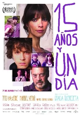 15 Years and One Day poster