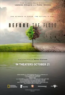 Before the Flood poster