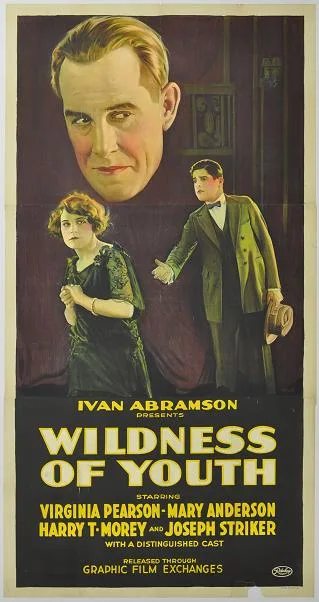 Wildness of Youth poster