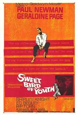Sweet Bird of Youth poster