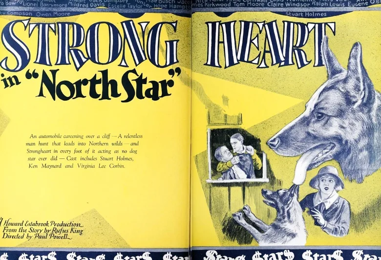 North Star poster