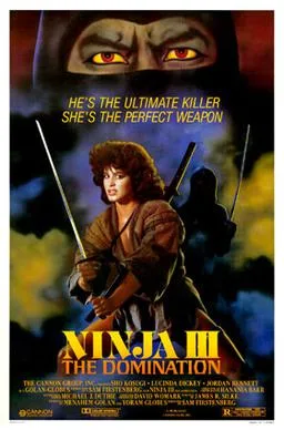 Ninja III: The Domination poster