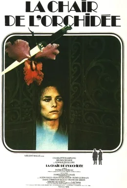 La Chair de l'orchidée poster