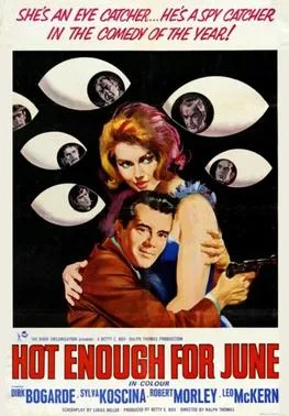 Hot Enough for June poster