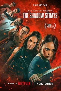 The Shadow Strays poster