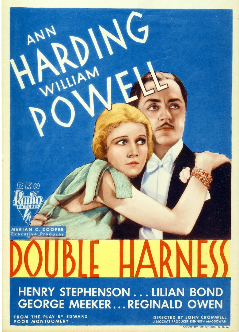 Double Harness poster
