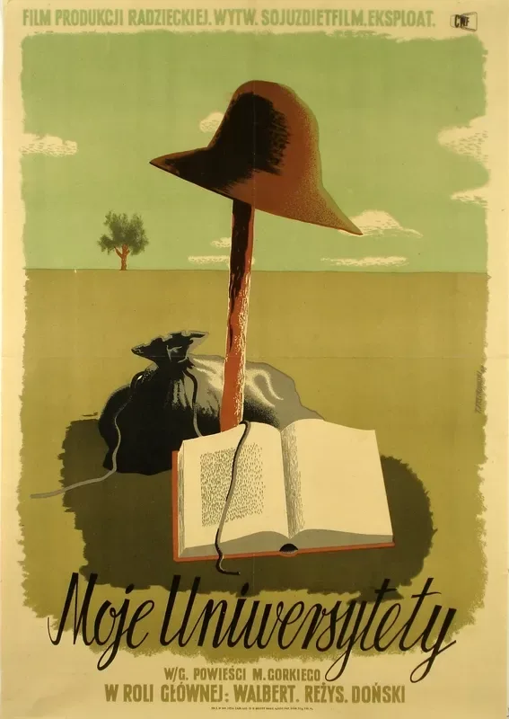 My universities poster