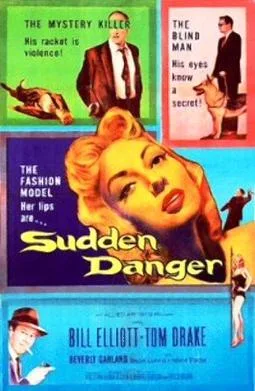 Sudden Danger poster