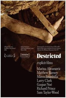 Destricted poster