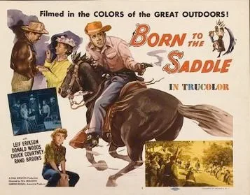 Born to the Saddle poster