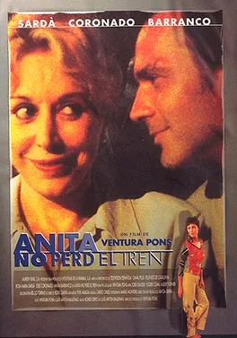 Anita Takes a Chance poster