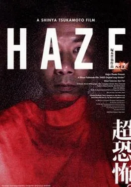 Haze poster