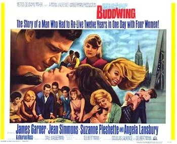 Mister Buddwing poster