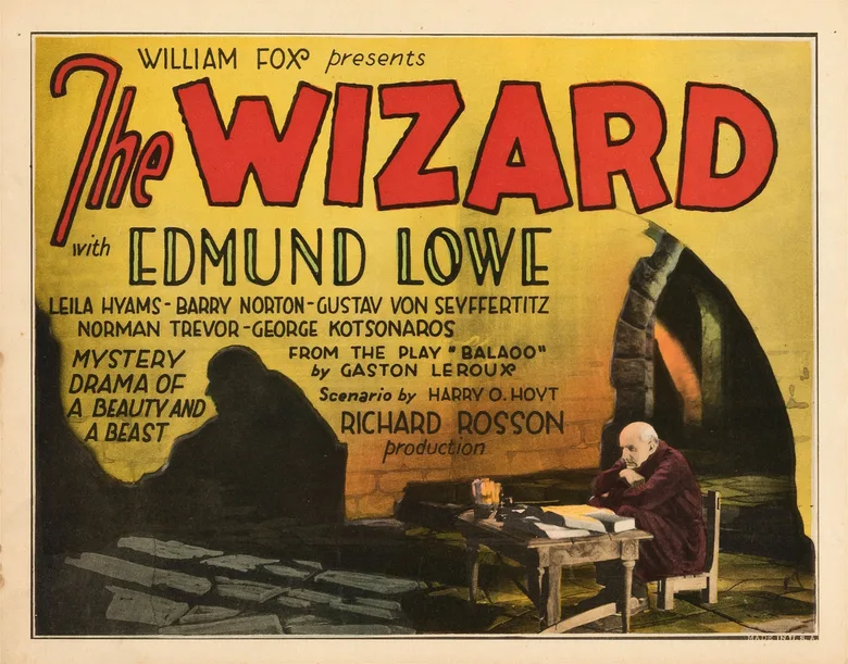 The Wizard poster