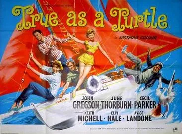 True as a Turtle poster