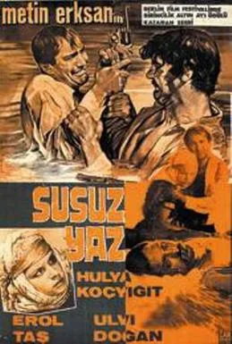 Dry Summer poster