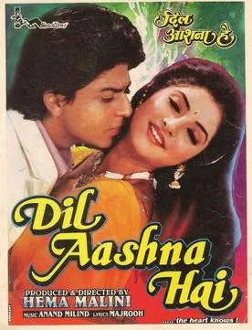 Dil Aashna Hai poster