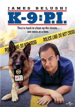K-9: P.I. poster