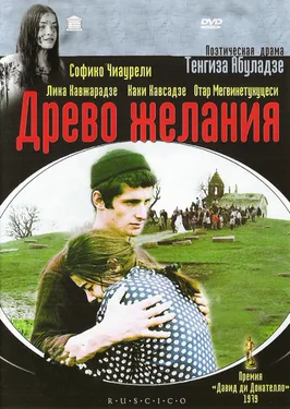 The Wishing Tree poster
