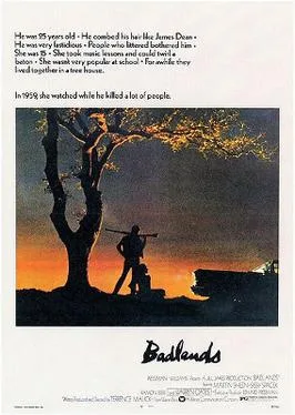 Badlands poster