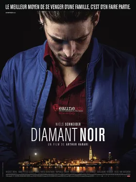 Dark Inclusion poster