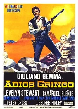 Adiós gringo poster