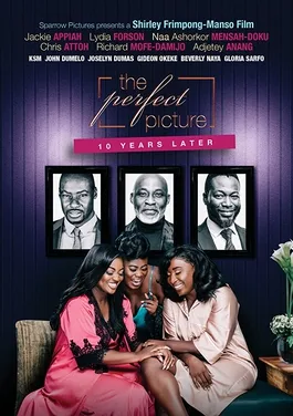 The Perfect Picture: Ten Years Later poster