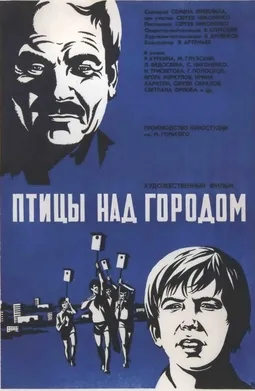 Birds over the City poster