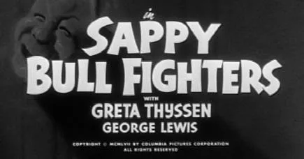Sappy Bull Fighters poster