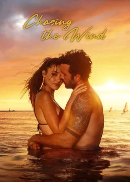 Chasing the Wind poster