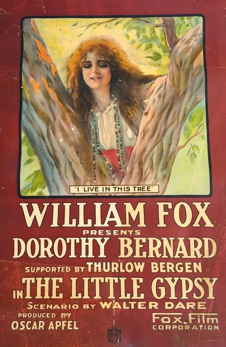The Little Gypsy poster