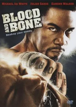 Blood and Bone poster