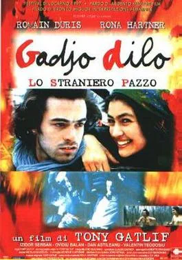 The Crazy Stranger poster