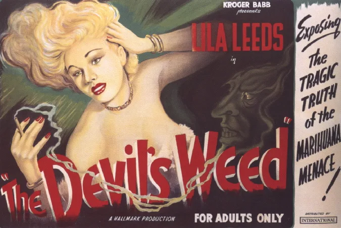 She Shoulda Said No! poster