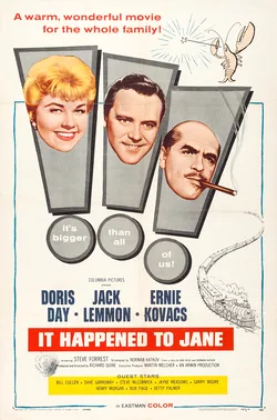 It Happened to Jane poster