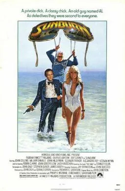 Sunburn poster