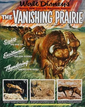 The Vanishing Prairie poster