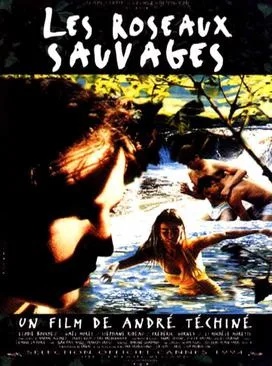 Wild Reeds poster
