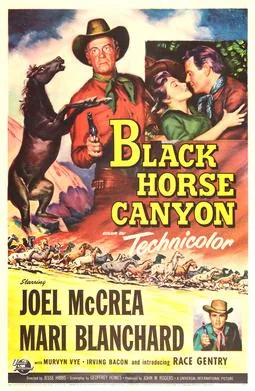 Black Horse Canyon poster