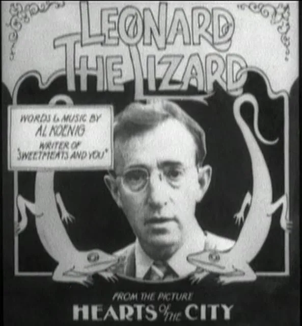 Zelig poster