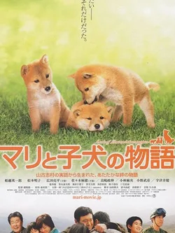 A Tale of Mari and Three Puppies poster