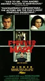 Forever Mery poster
