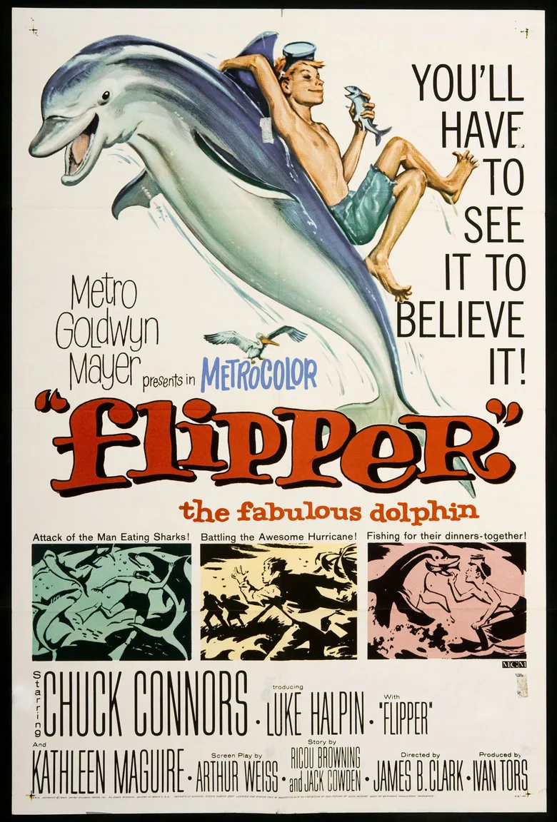 Flipper poster