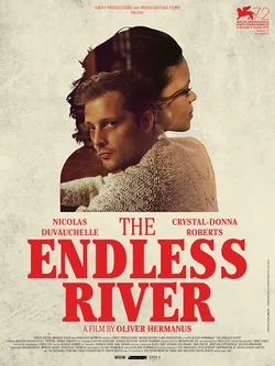 The Endless River poster
