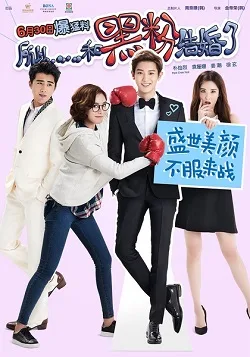 So I Married An Anti-fan poster