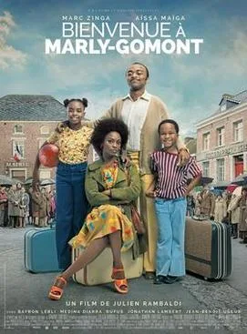 The African Doctor poster